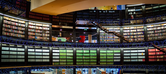 Antalya Muratpaşa'da İngilizce ve Keman Kursları