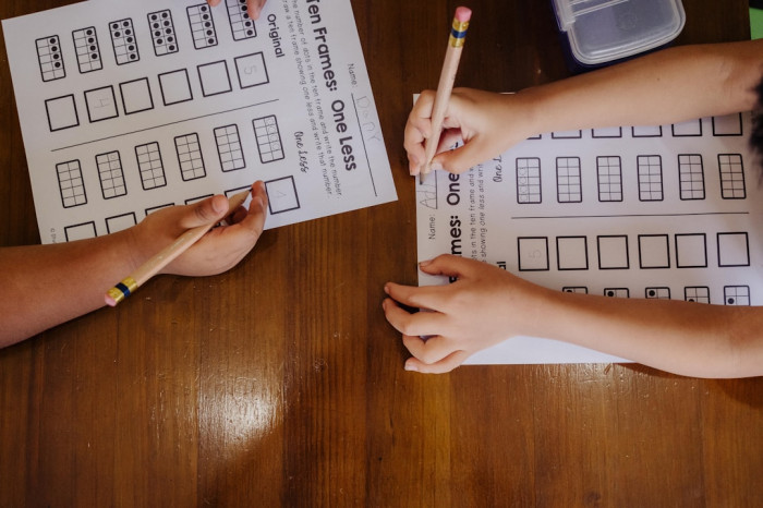 6. Sınıf İngilizce Did ve Didn't Testi